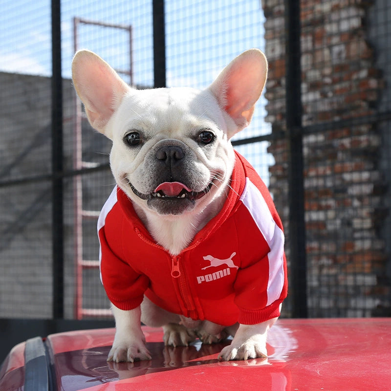 Trendy Dog Clothes - French Bulldog Fashion Collection