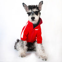 Small Dog Warm Hoodie - Autumn & Winter Clothing