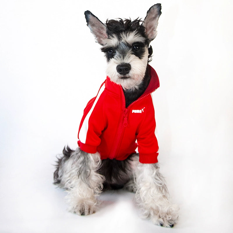 Small Dog Warm Hoodie - Autumn & Winter Clothing