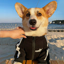 Small Dog Warm Hoodie - Autumn & Winter Clothing