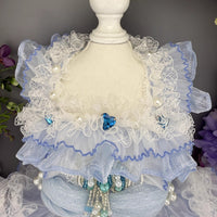 Handmade Cinderella Puppy Costume Dog Dress