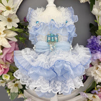 Handmade Cinderella Puppy Costume Dog Dress