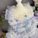 Handmade Cinderella Puppy Costume Dog Dress