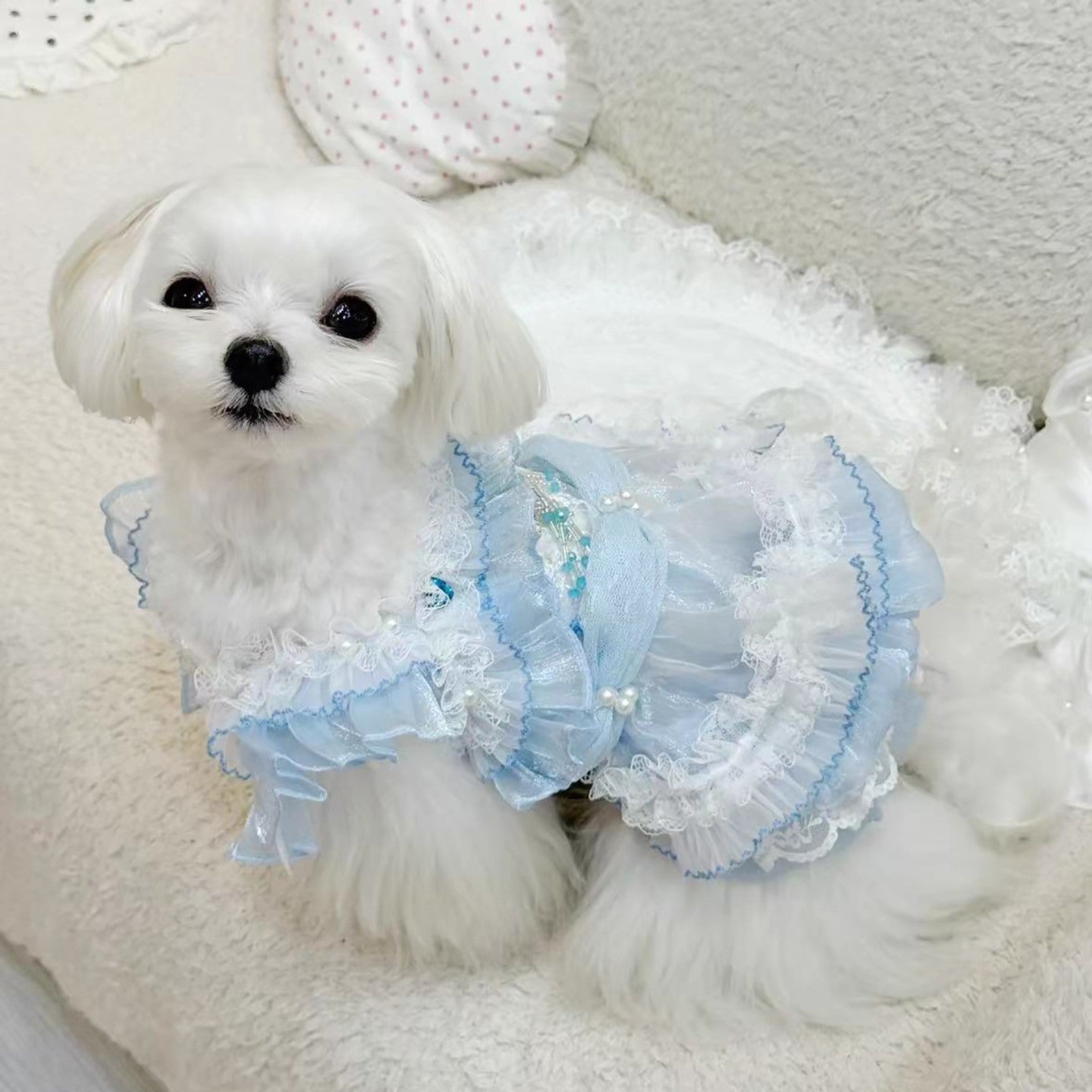 Handmade Cinderella Puppy Costume Dog Dress