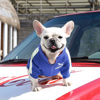 Trendy Dog Clothes - French Bulldog Fashion Collection