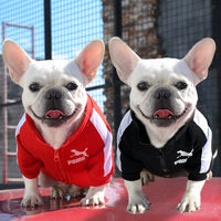 Trendy Dog Clothes - French Bulldog Fashion Collection