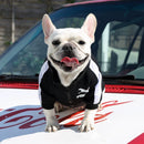 Trendy Dog Clothes - French Bulldog Fashion Collection