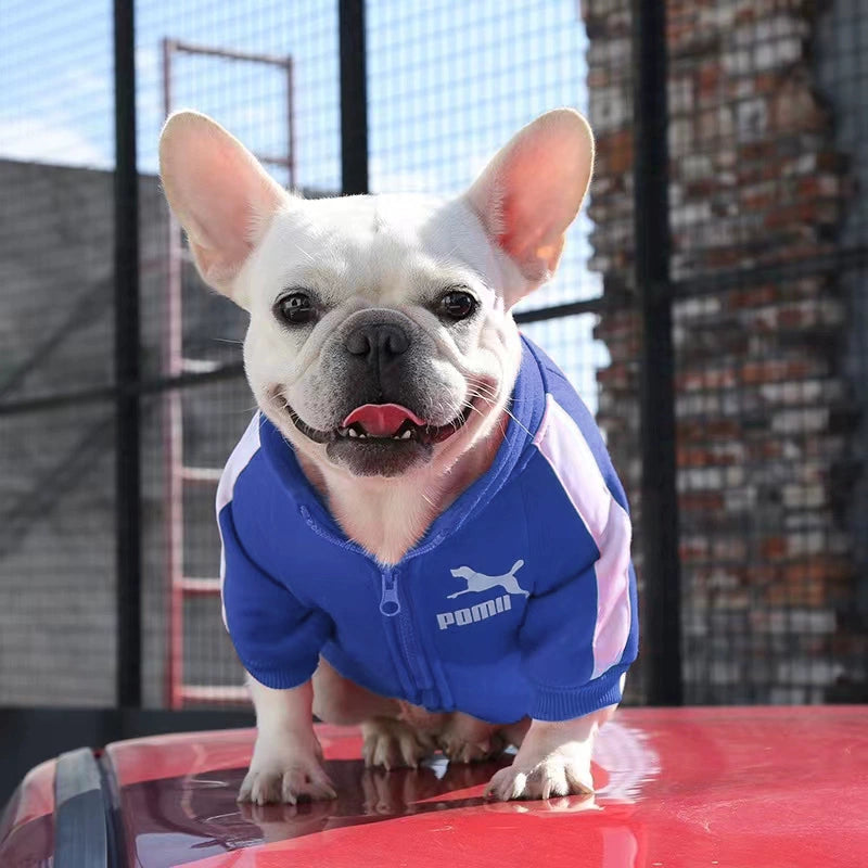 Trendy Dog Clothes - French Bulldog Fashion Collection