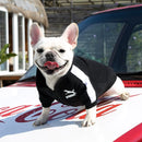 Trendy Dog Clothes - French Bulldog Fashion Collection