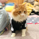 Trendy Dog Clothes - French Bulldog Fashion Collection