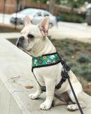 Teacher's Pet Reversible Harness