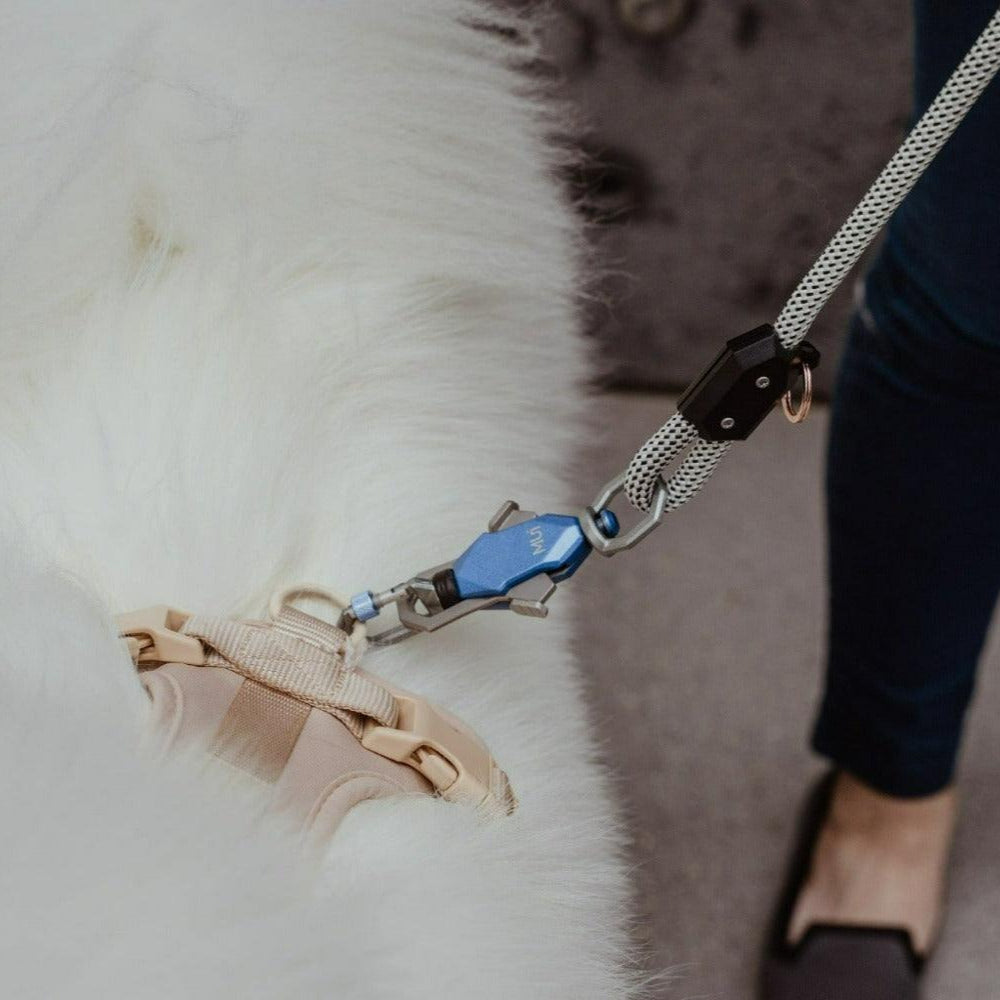 Patented Magnetic Dog Leash