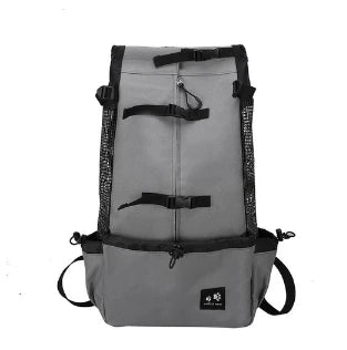 S00906b9023f0460bbe32eca928a76866P