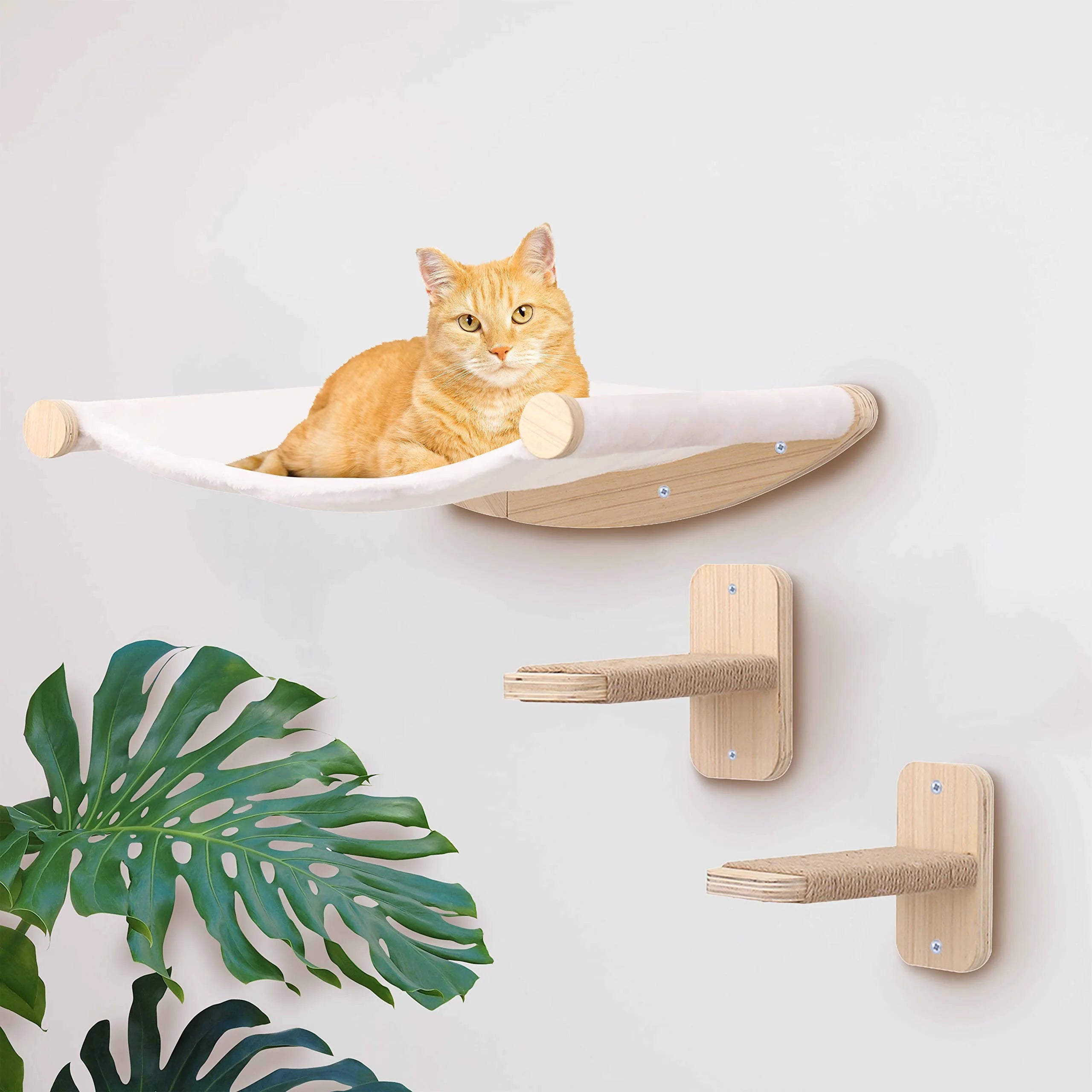🧗 Franklin's Pick: Wall-Mounted Cat Climbing Rope - Ultimate Space-Saving Vertical Playground