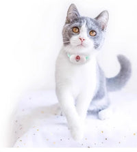 Franklin's Pick: Smart Laser Robot Cat Toy - USB Rechargeable