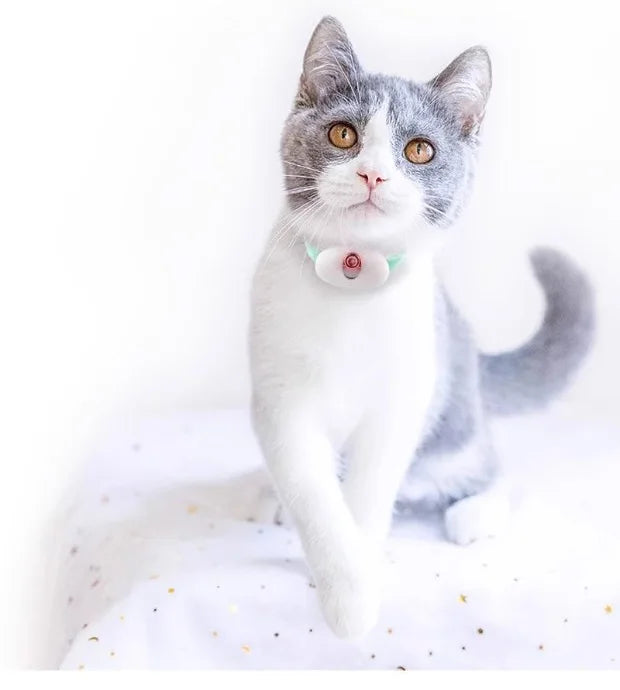 Franklin's Pick: Smart Laser Robot Cat Toy - USB Rechargeable