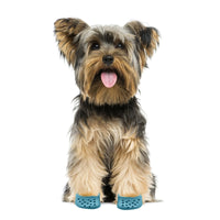 Thickened Hole Dog Shoes
