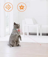 Franklin's Pick: Smart Laser Robot Cat Toy - USB Rechargeable