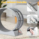 31-Inch Cat Exercise Wheel