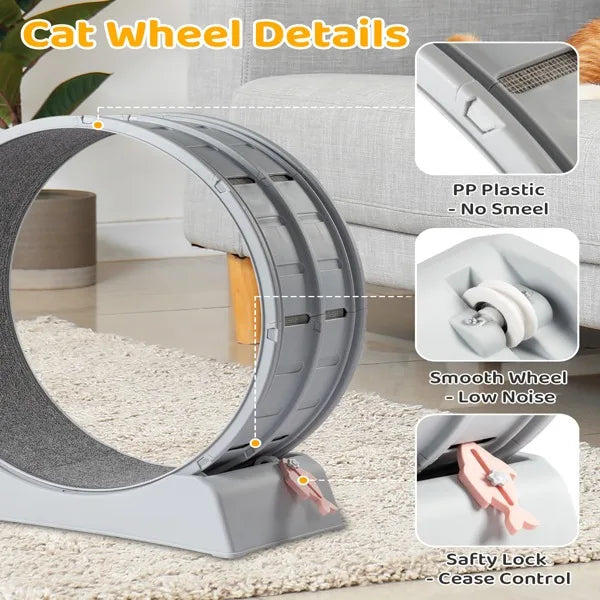 31-Inch Cat Exercise Wheel
