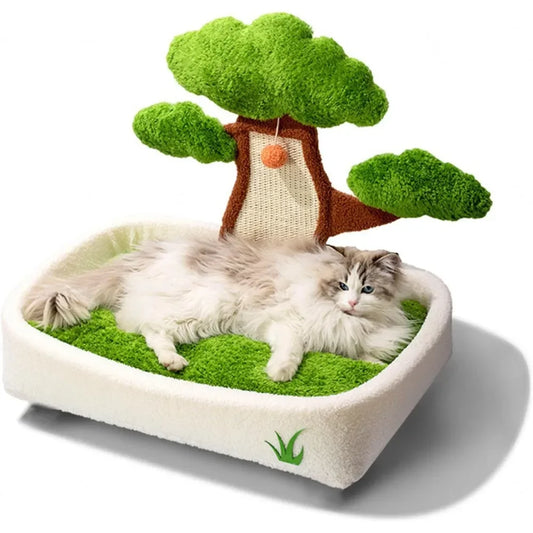 Cat Scratching Post and bed