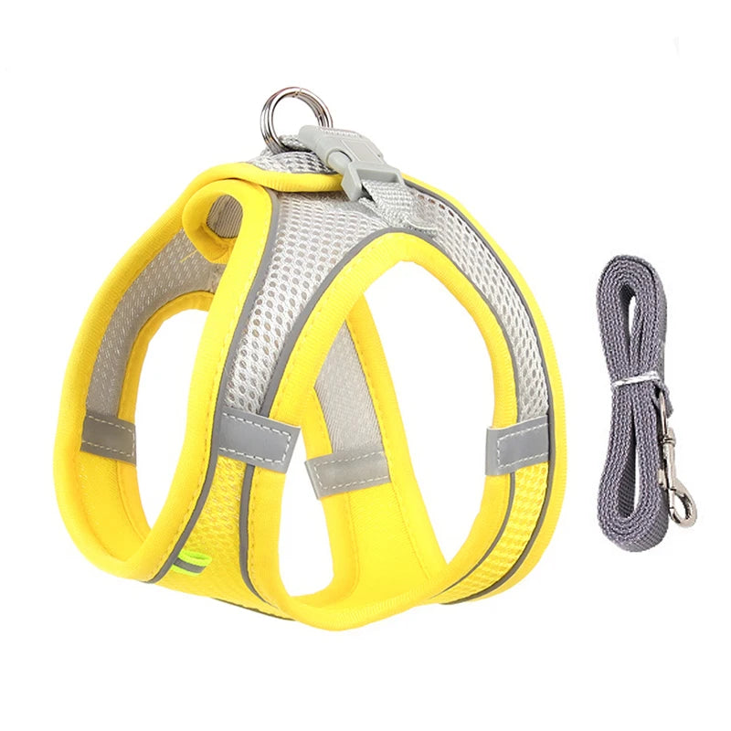 Yellow / xs 2.5-4 kg