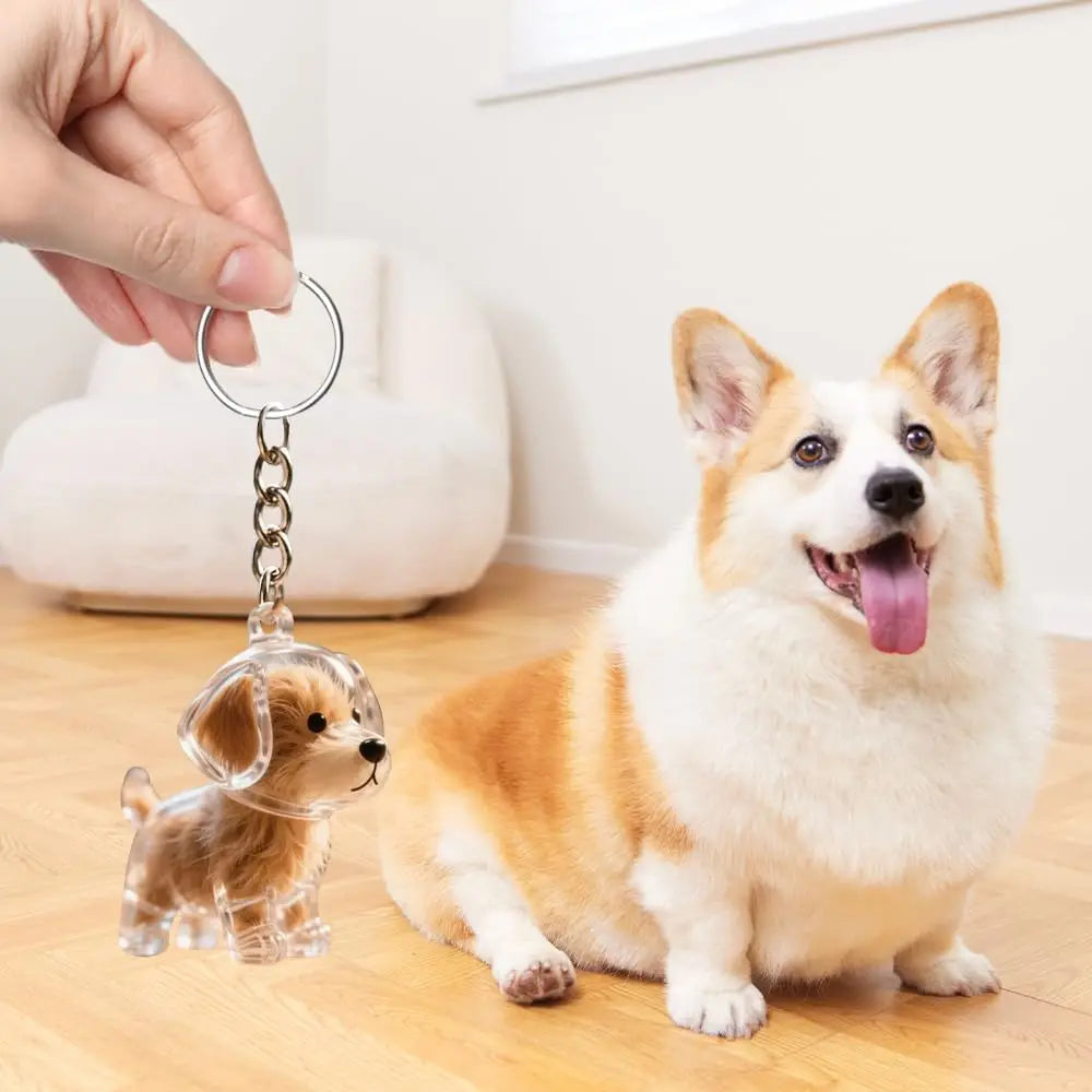 Dog Hair Memorial Keychain - Pet Fur Keepsake Storage Capsule