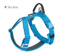 No-Pull Reflective Dog Harness - Adjustable Vest