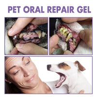 Pet Teeth Cleaning Pen - Oral Care for Dogs & Cats
