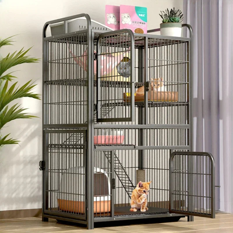 Large Luxury Indoor Cattery with Multi-Level Living