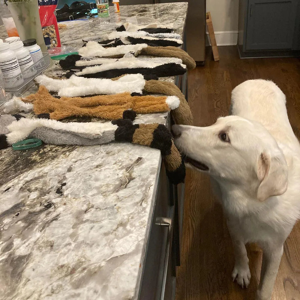 Crinkle No-Stuffing Squeaky Toy