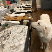 Crinkle No-Stuffing Squeaky Toy