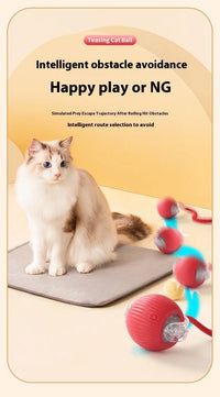 Rechargeable Interactive Smart Cat Toy