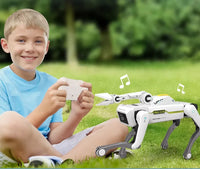 Smart RC Robot Dog by Tail chasers