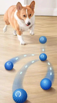 Smart Interactive Dog Ball