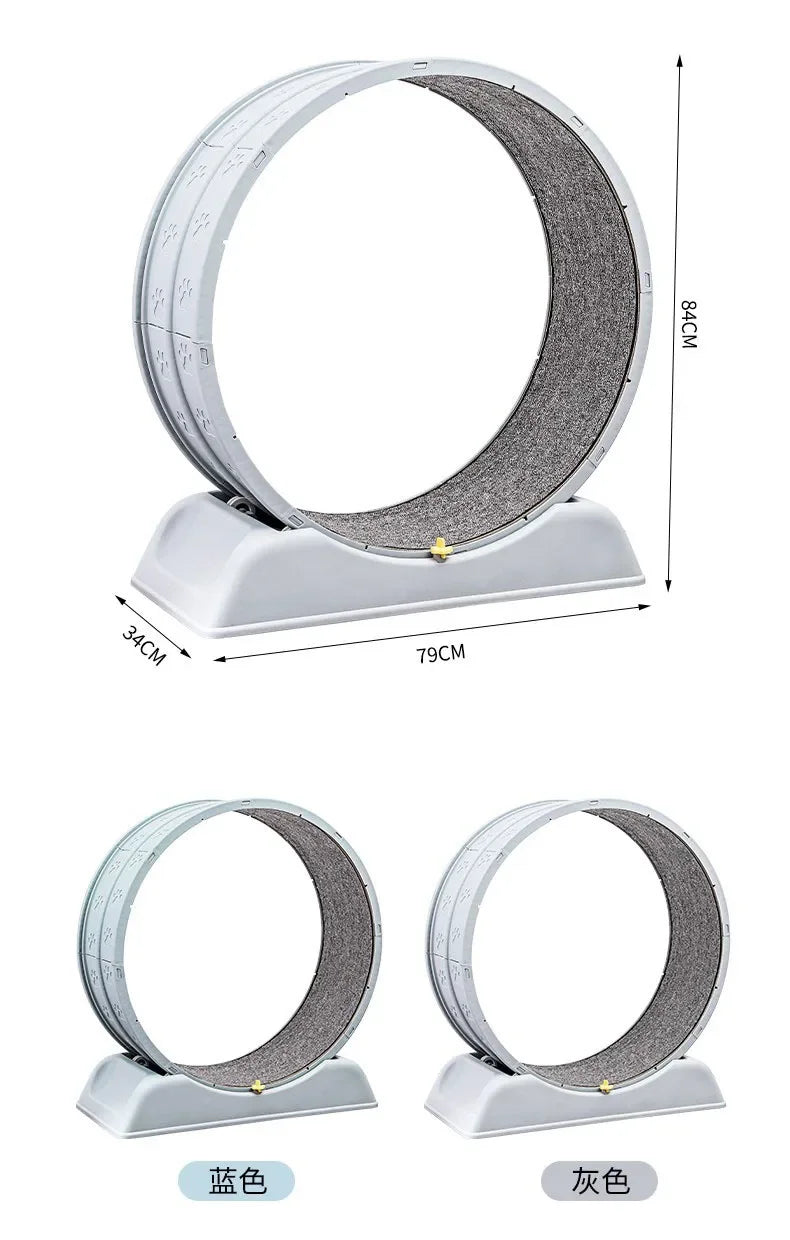 Large Exercise Wheel for Active Cats