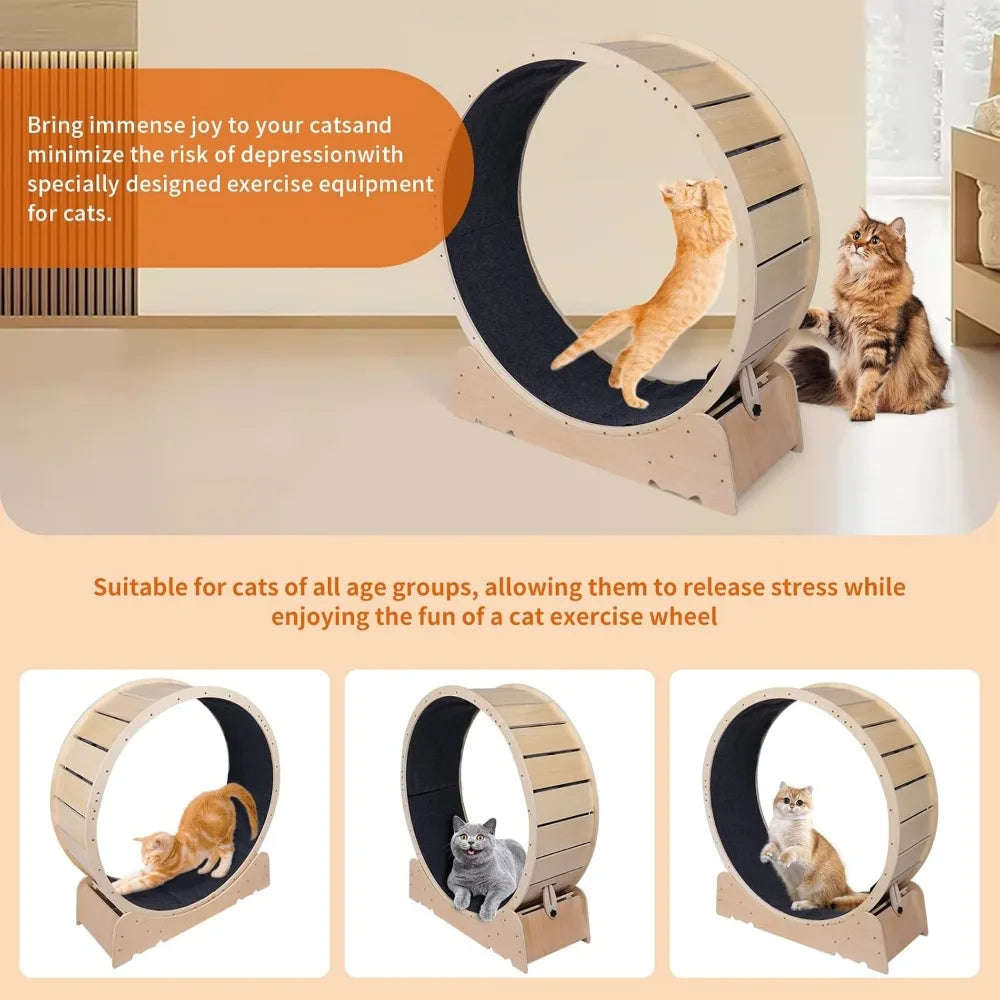 Large Cat Exercise Wheel 40 Inch Treadmill Exerciser for Indoor Cats Love Kitty Running Toy Walking Training for Fitness Weight by Tail chasers