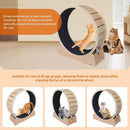 Large Cat Exercise Wheel 40 Inch Treadmill Exerciser for Indoor Cats Love Kitty Running Toy Walking Training for Fitness Weight by Tail chasers