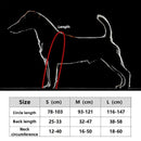 🥾 Waterproof Dog Boots - Ultimate All-Weather Paw Protectors with Non-Slip Grip