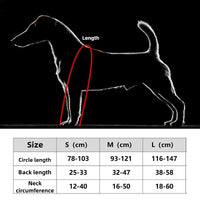 🥾 Waterproof Dog Boots - Ultimate All-Weather Paw Protectors with Non-Slip Grip