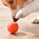 Smart Interactive Dog Ball