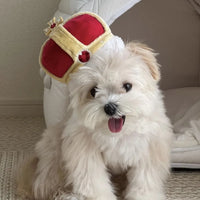 S219bc9f102474164b520b8bf8b3116c70