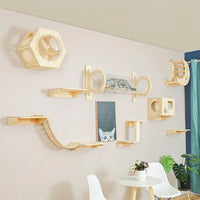 Wall-Mounted Cat Climbing System