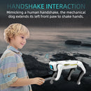 Smart RC Robot Dog by Tail chasers