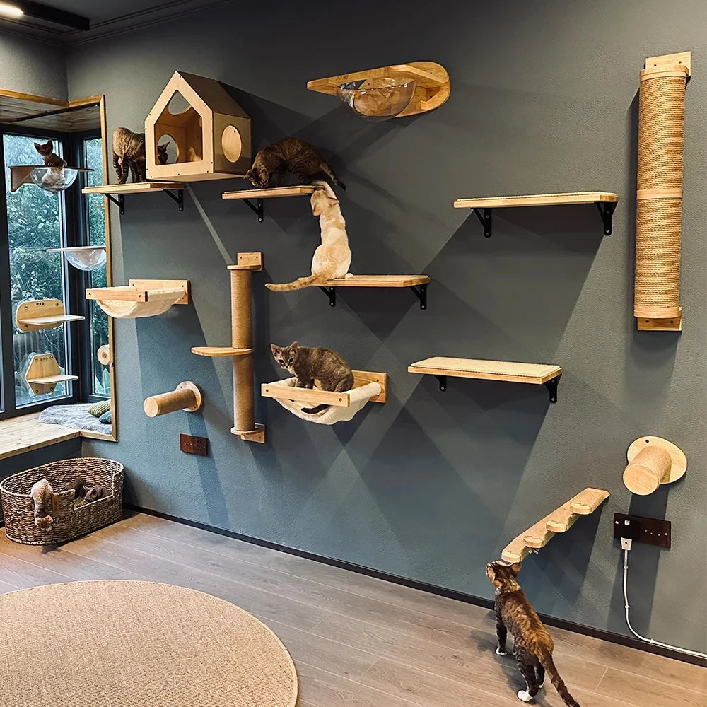 Wooden Cat Climbing System