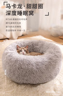 All-Season Cat Beds