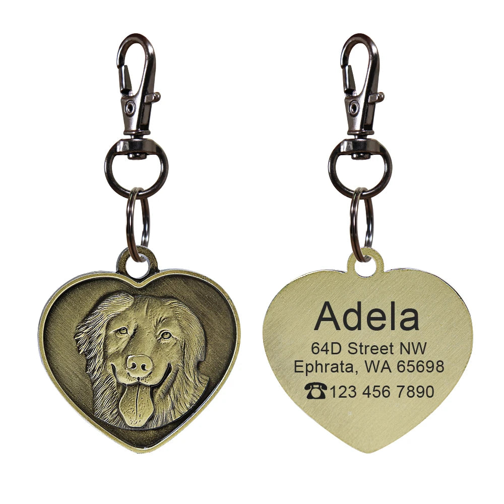 Golden Retriever / M