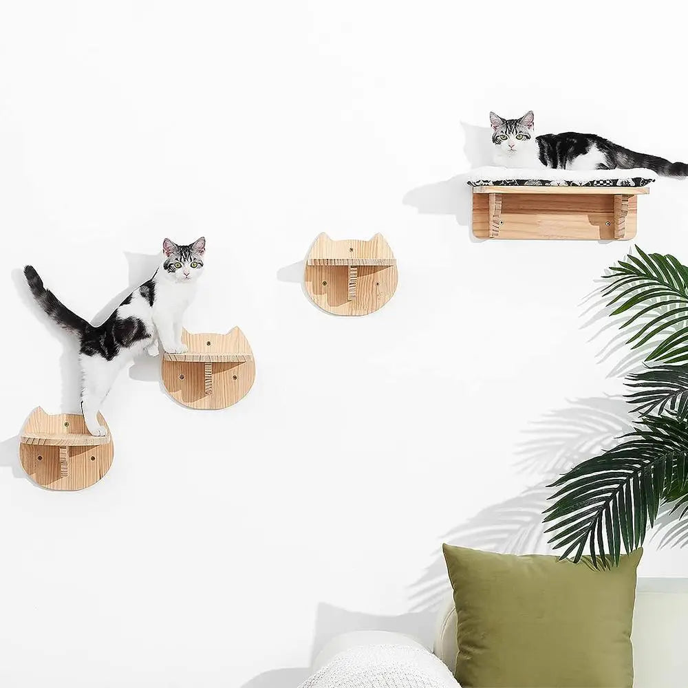Wall-Mounted Cat Climbing System