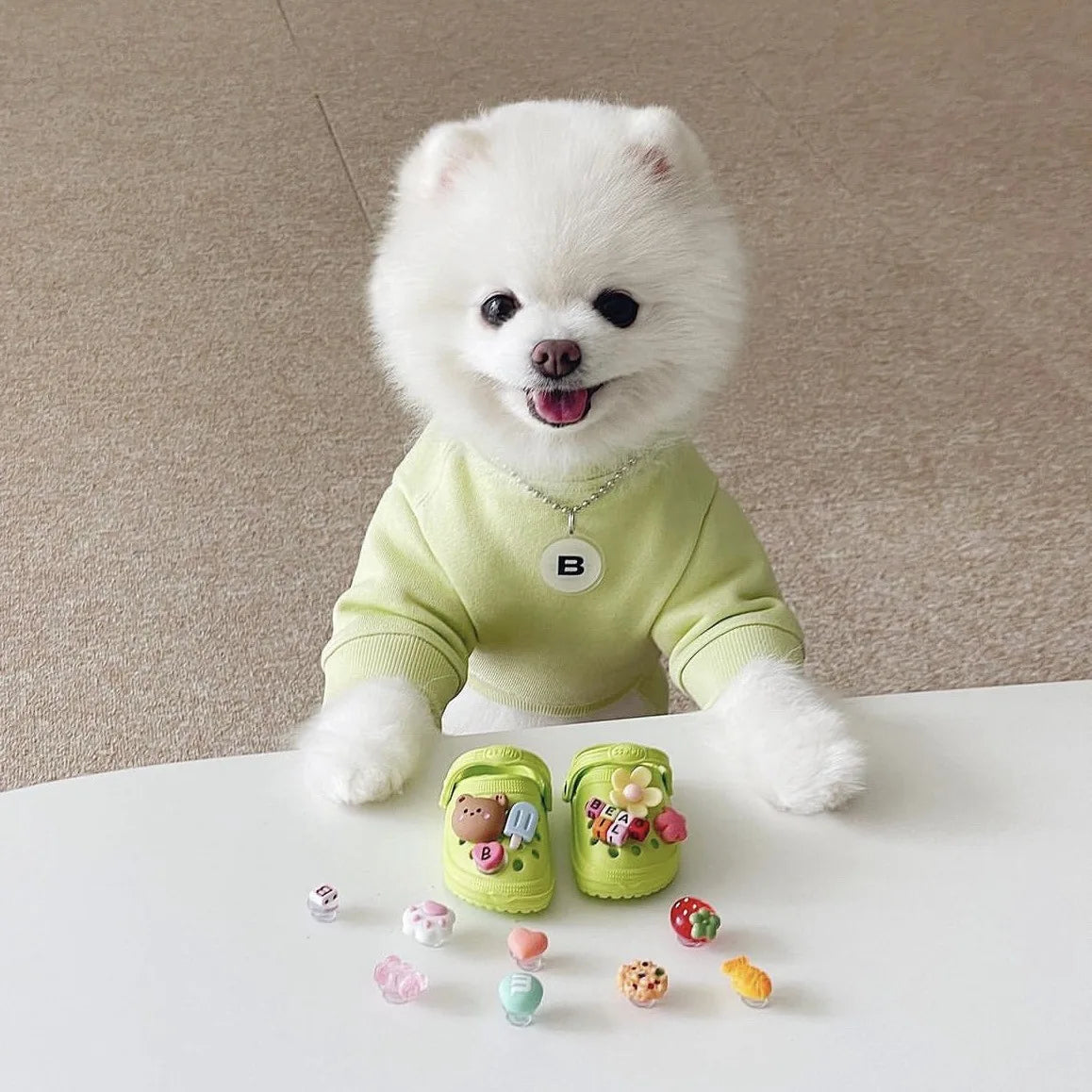 Fashionable Dog Crocs - Breathable