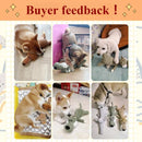 Dog Molar Toys by Tail chasers
